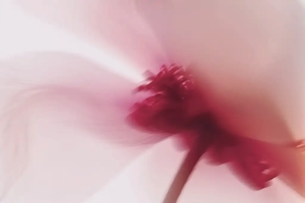 Harmonia entre Fragrância e a Ciência Dermocosmética