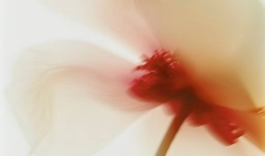 Harmonia entre Fragrância e a Ciência Dermocosmética
